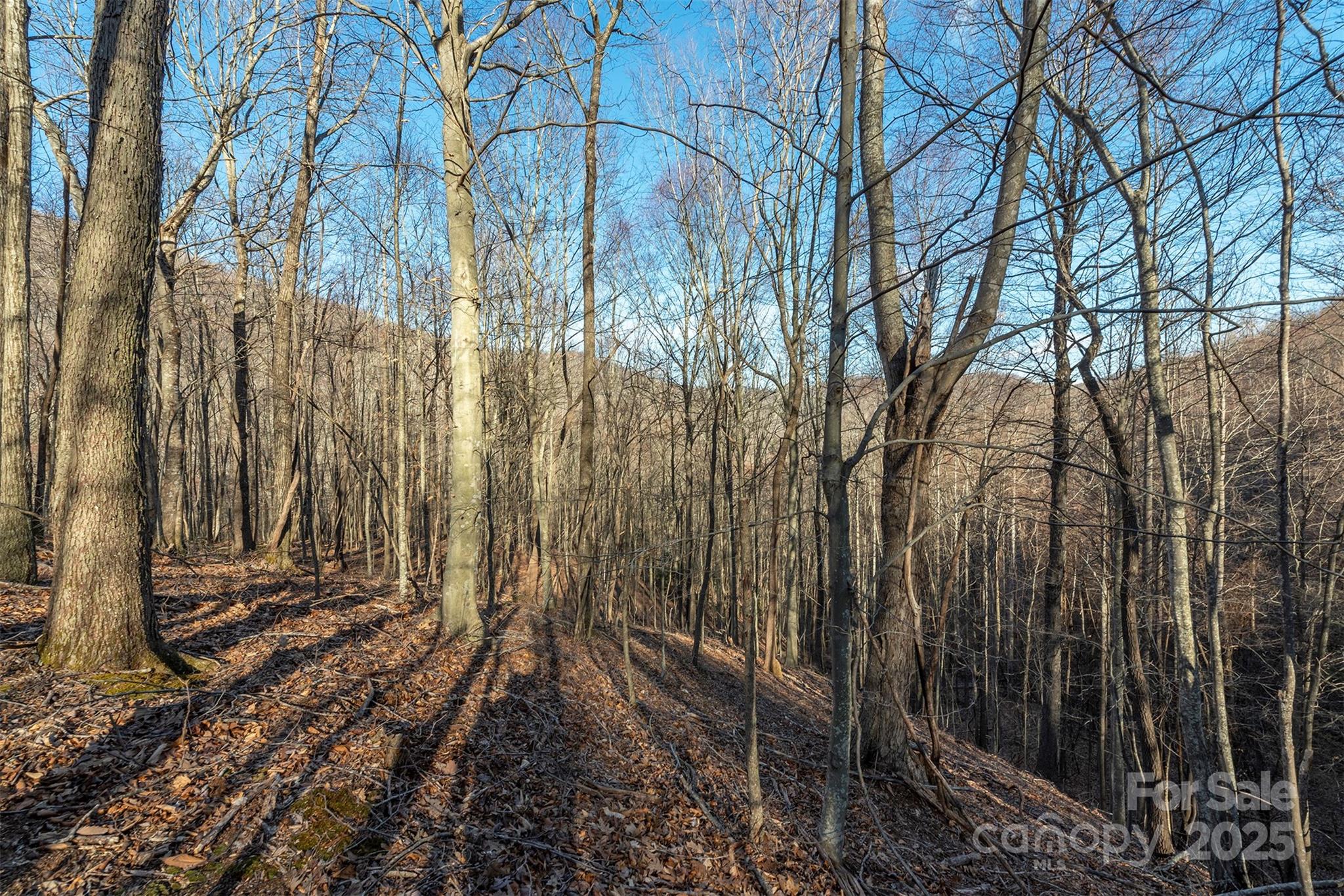 885 Stoney Stream Lane Arden NC 28704