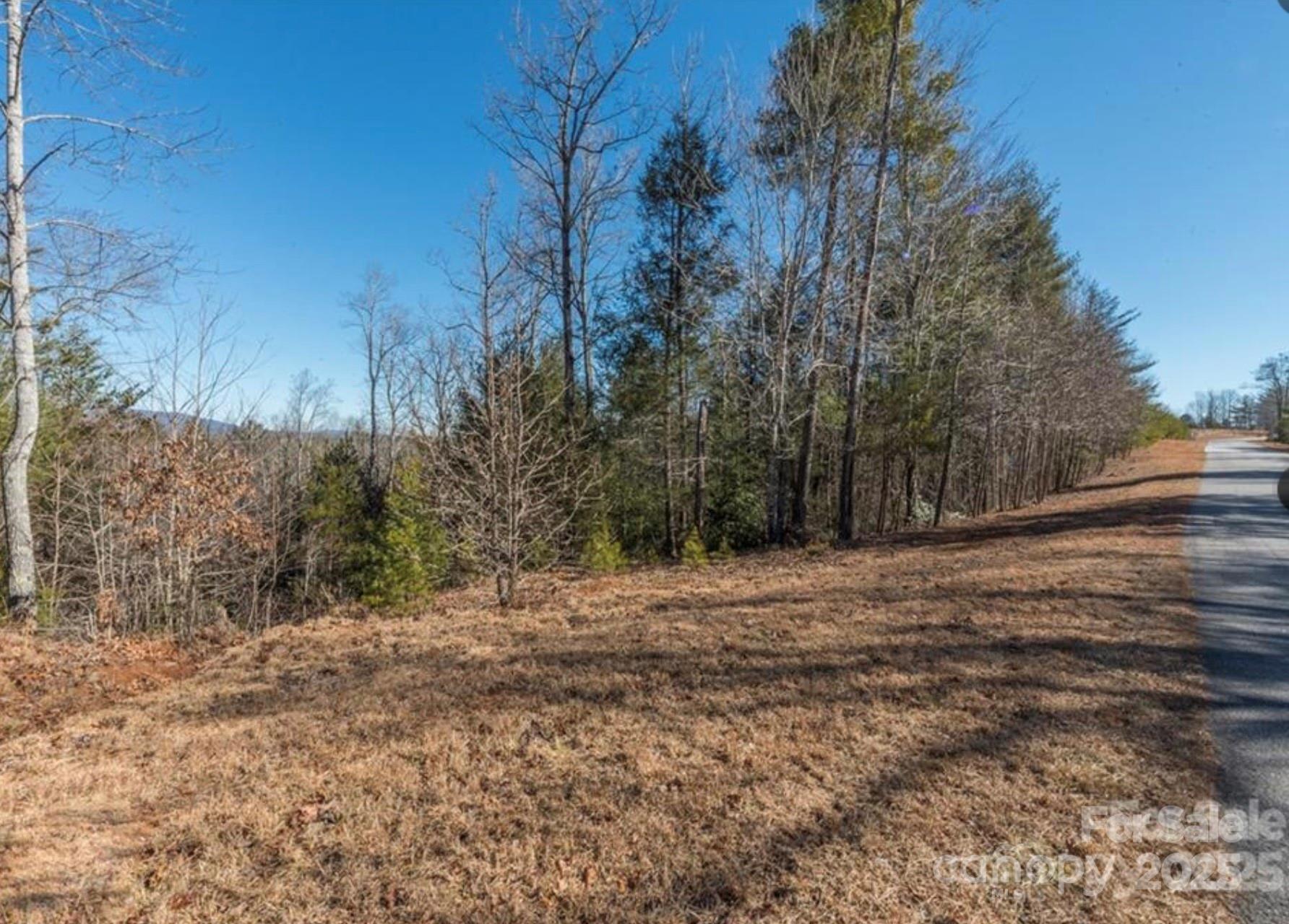 35-12 Sycamore Drive Nebo NC 28761