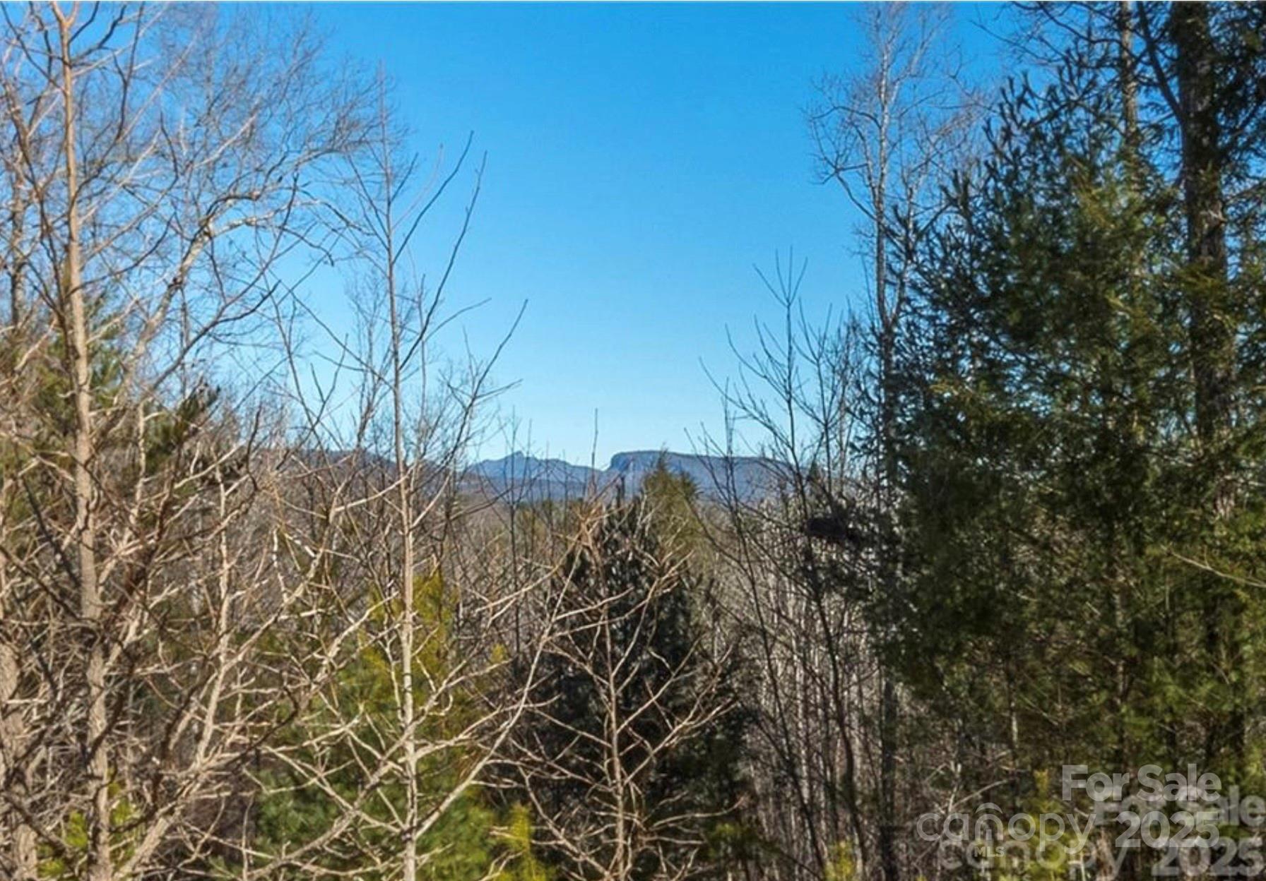 35-12 Sycamore Drive Nebo NC 28761