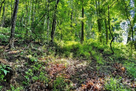Lot # 77 Hunnicut Spur Road Marion NC 28752