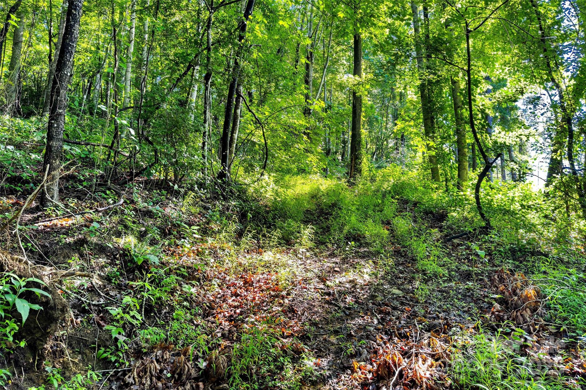 Lot # 77 Hunnicut Spur Road Marion NC 28752