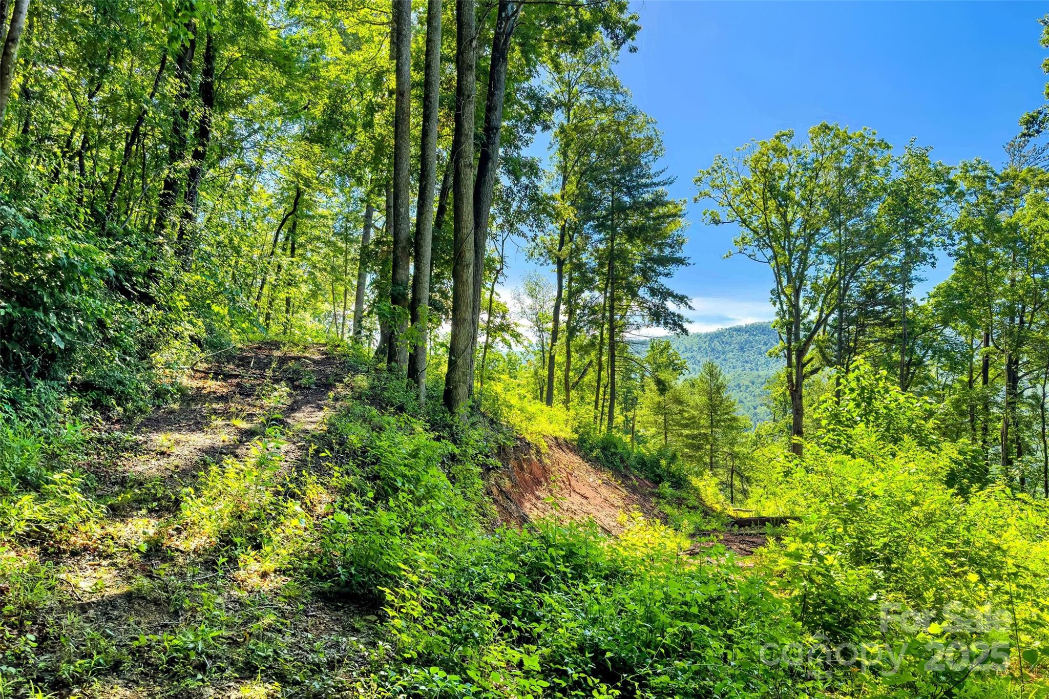 Lot # 77 Hunnicut Spur Road Marion NC 28752