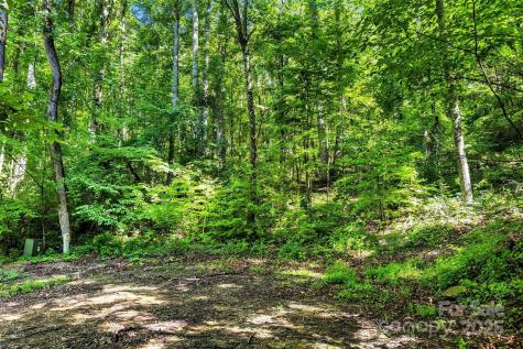 Lot # 77 Hunnicut Spur Road Marion NC 28752