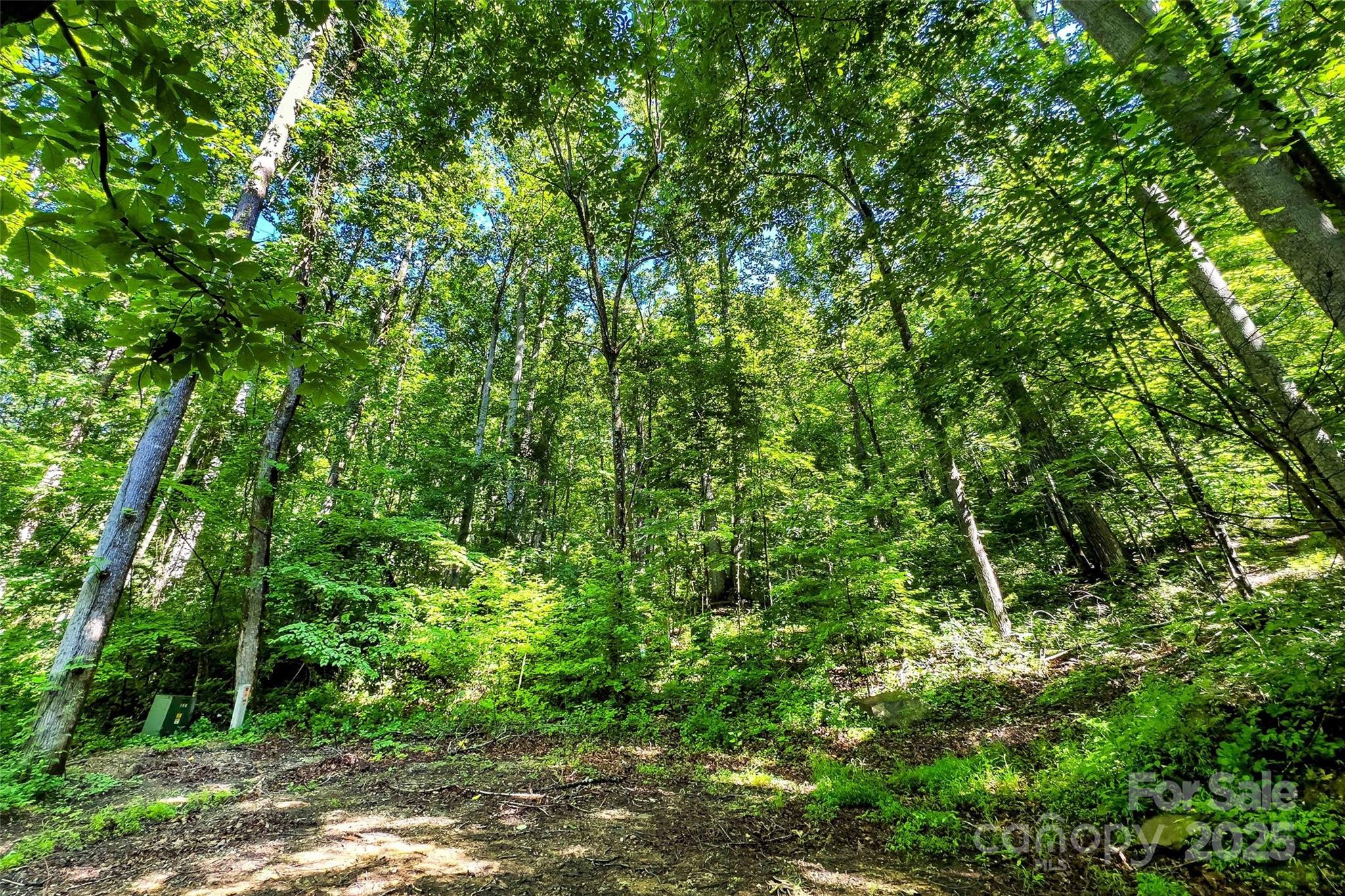 Lot # 77 Hunnicut Spur Road Marion NC 28752