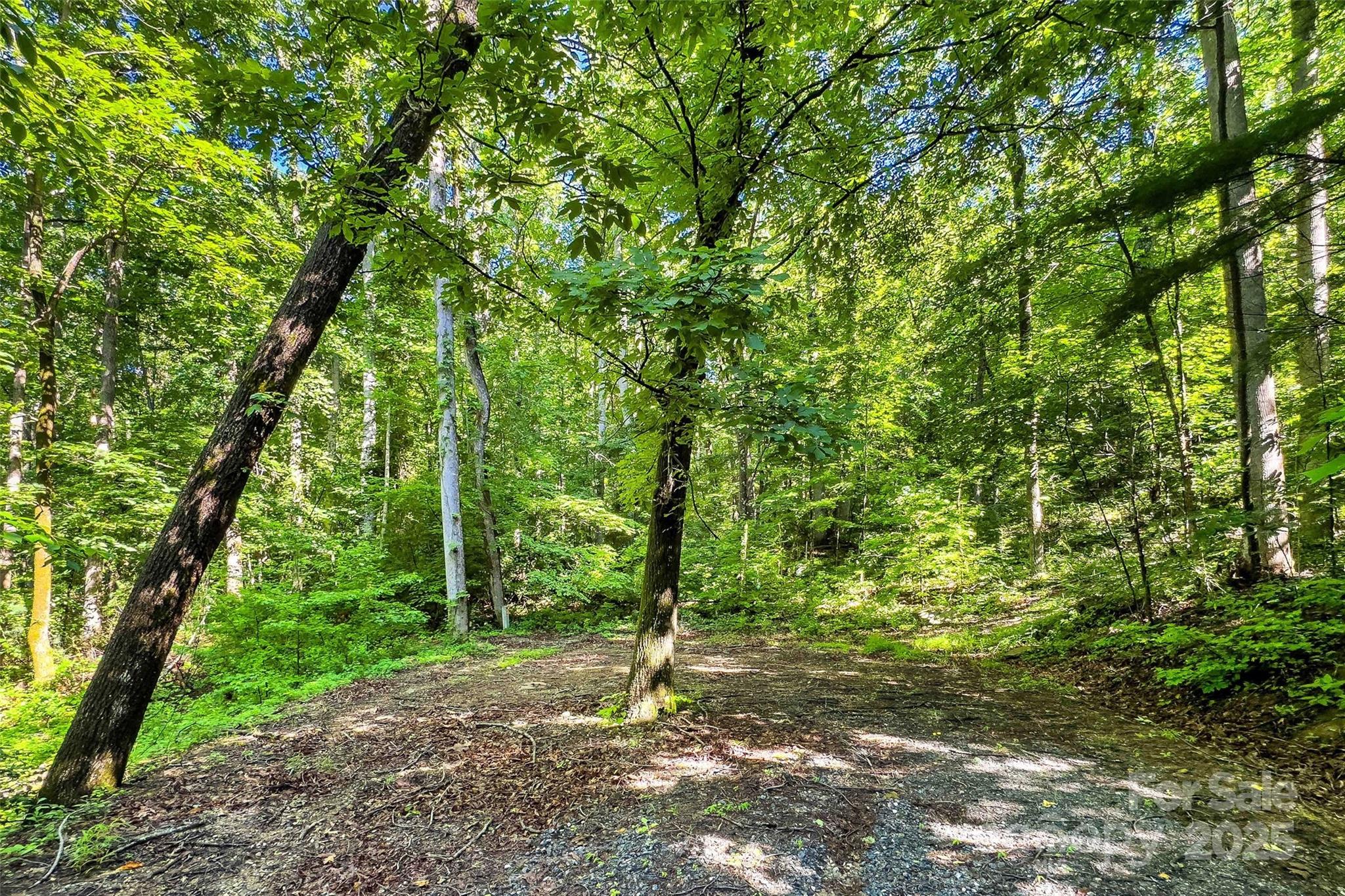 Lot # 77 Hunnicut Spur Road Marion NC 28752