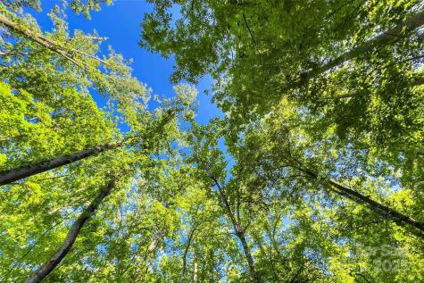Lot # 77 Hunnicut Spur Road Marion NC 28752