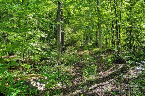 Lot # 77 Hunnicut Spur Road Marion NC 28752