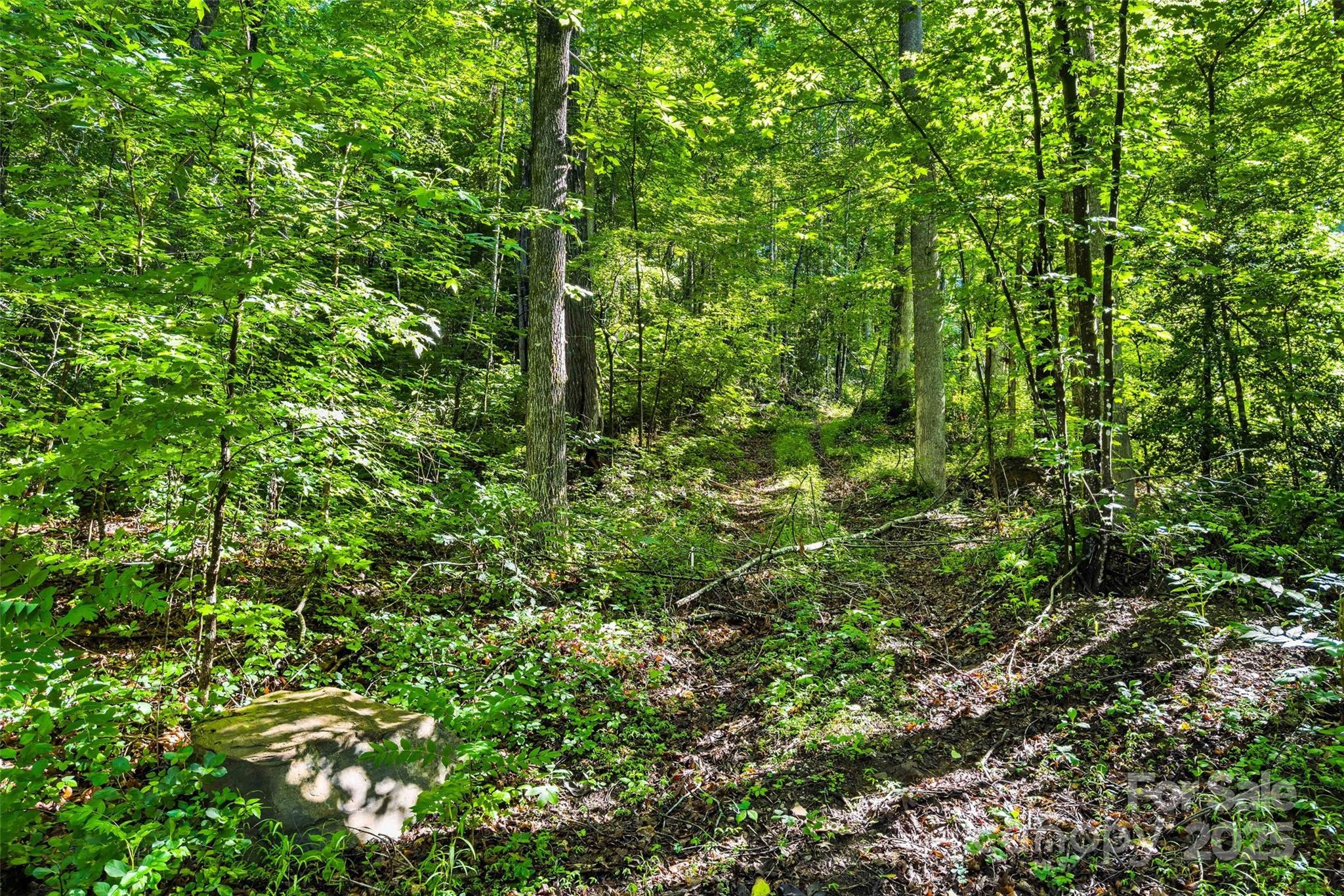 Lot # 77 Hunnicut Spur Road Marion NC 28752