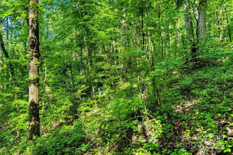 Lot # 77 Hunnicut Spur Road Marion NC 28752