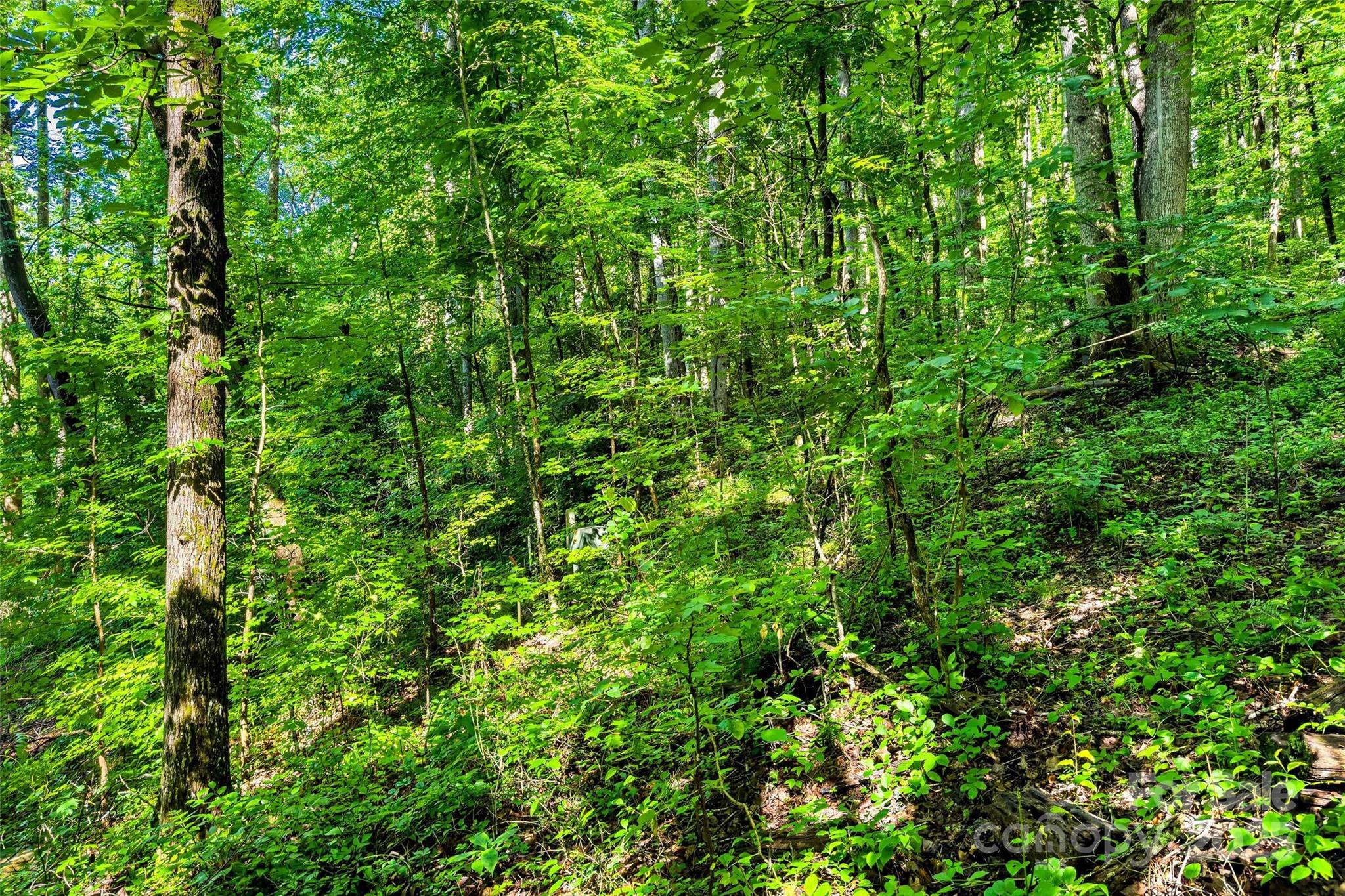 Lot # 77 Hunnicut Spur Road Marion NC 28752