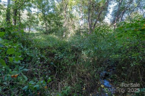 Tbd Crymes Cove Road Waynesville NC 28786