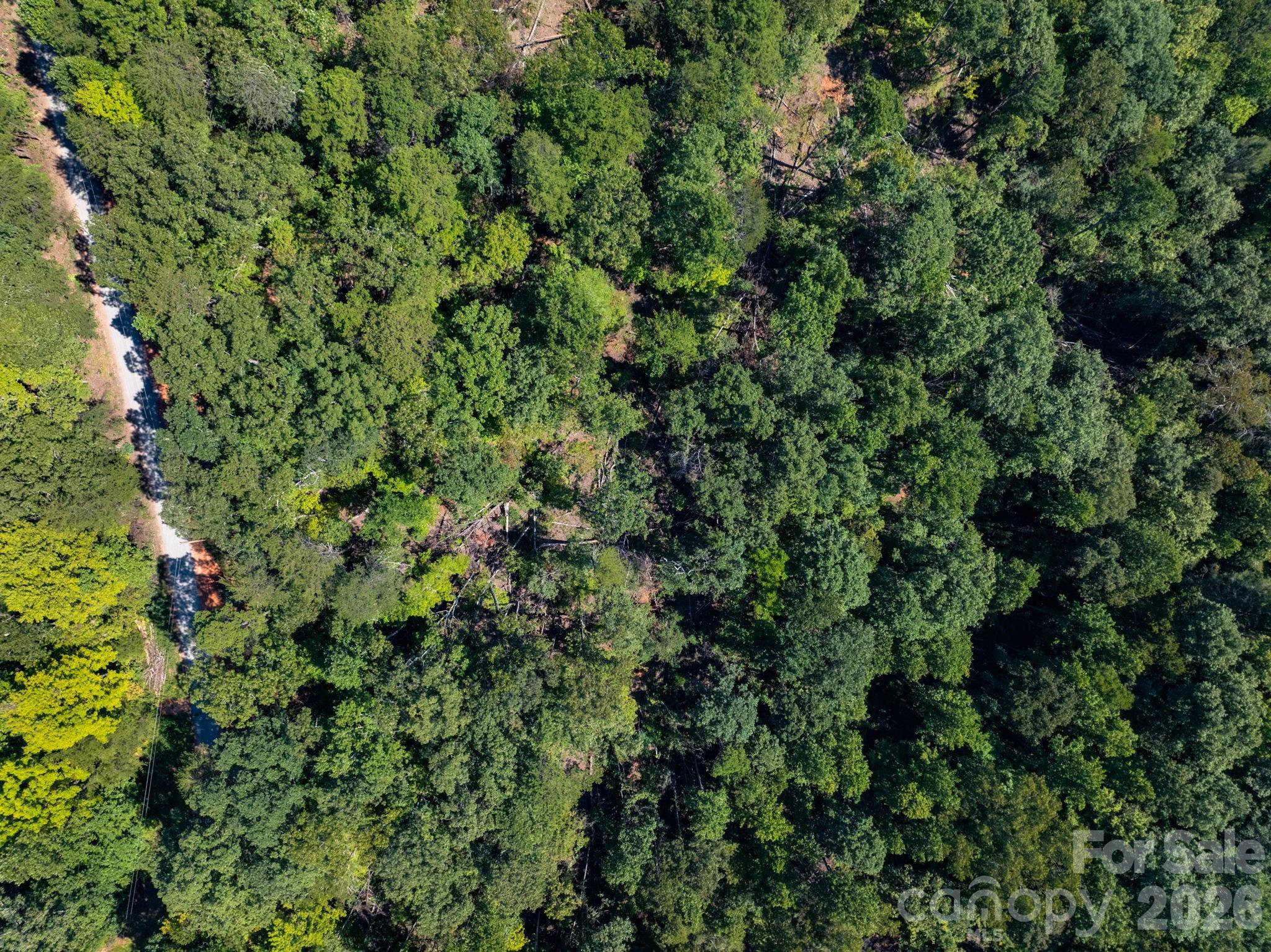 0 Calhoun Trail Rutherfordton NC 28139