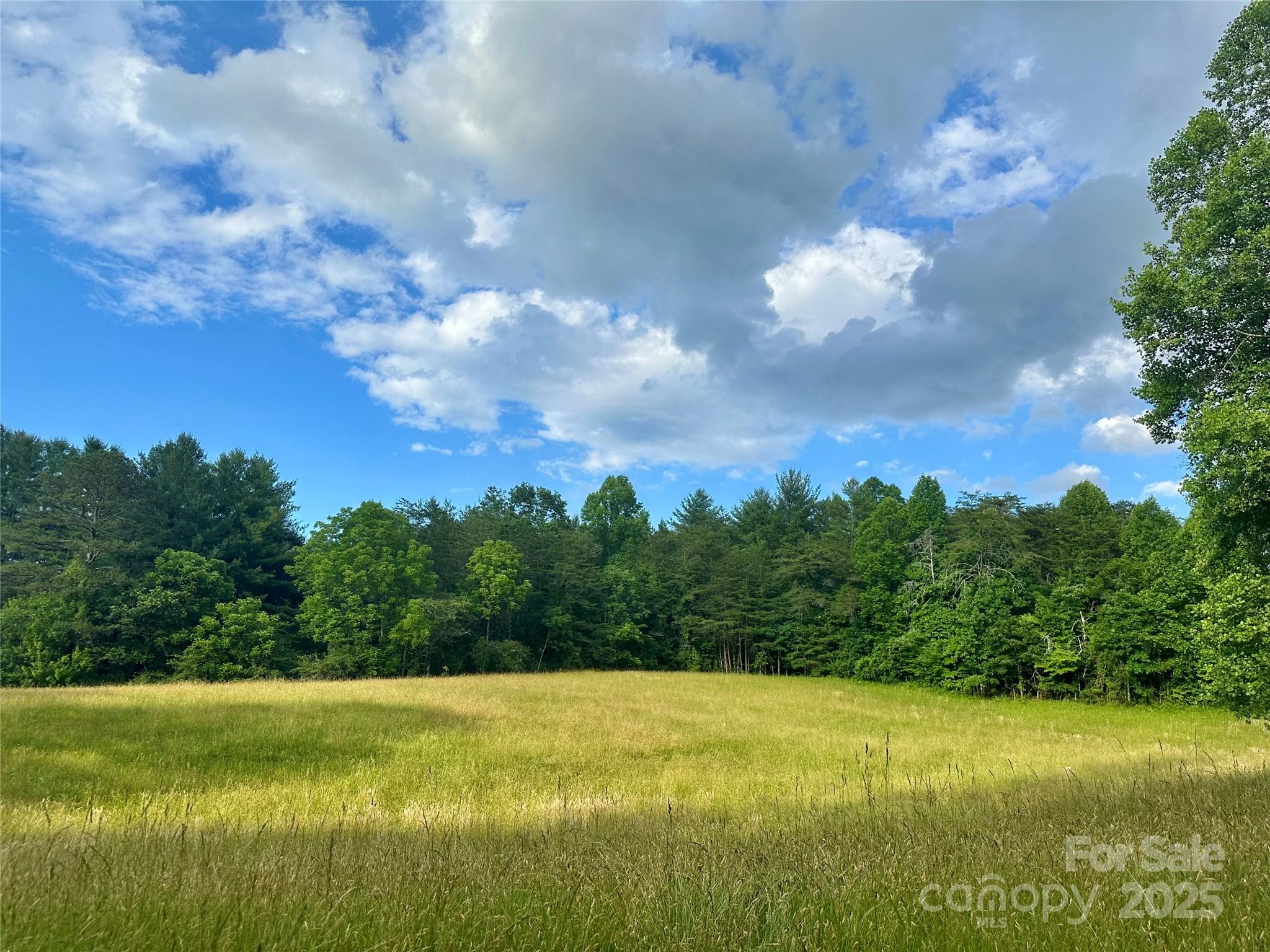99999 Jenkins Valley Road Alexander NC 28701