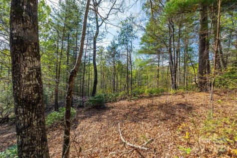 18 Walnut Ridge Way Lenoir NC 28645