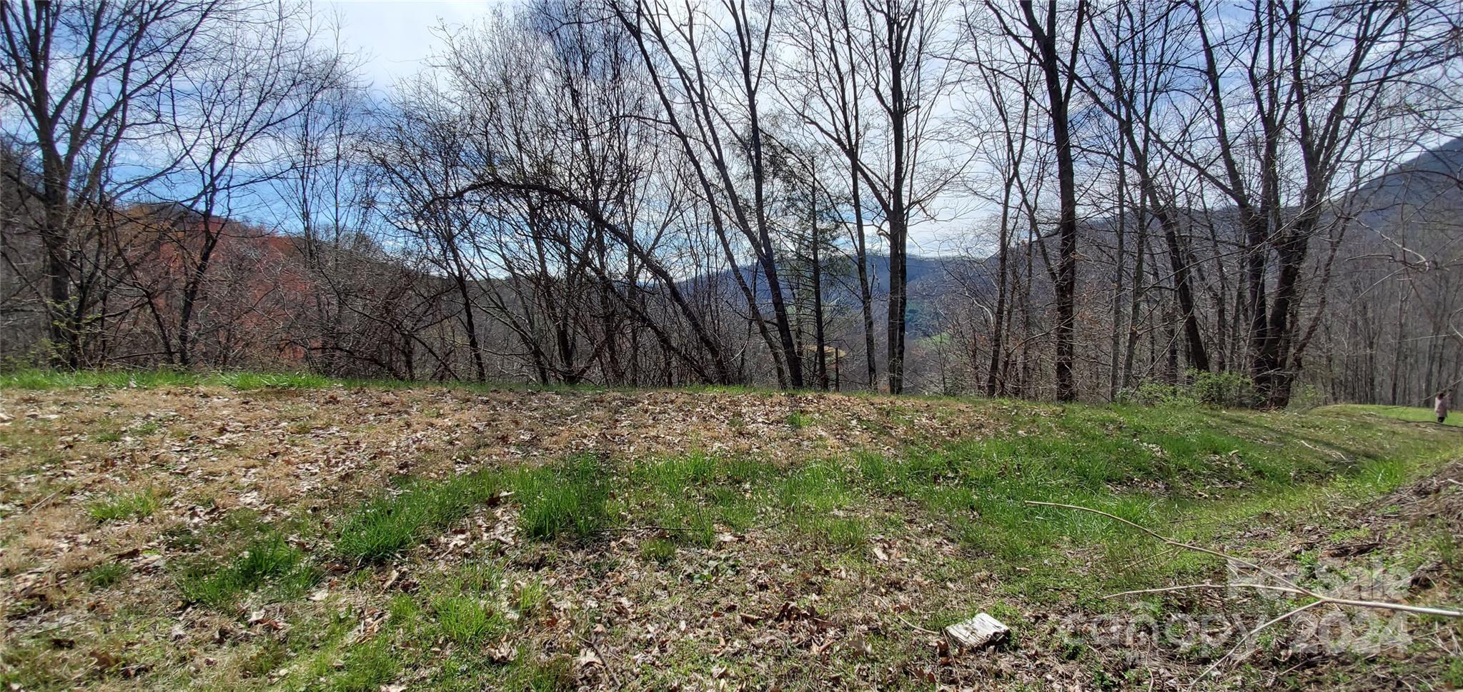 9999 Sunset Falls Drive Clyde NC 28716