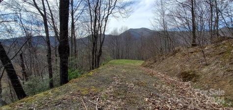 9999 Sunset Falls Drive Clyde NC 28716