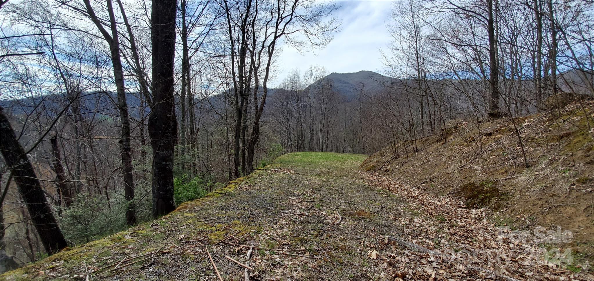 9999 Sunset Falls Drive Clyde NC 28716
