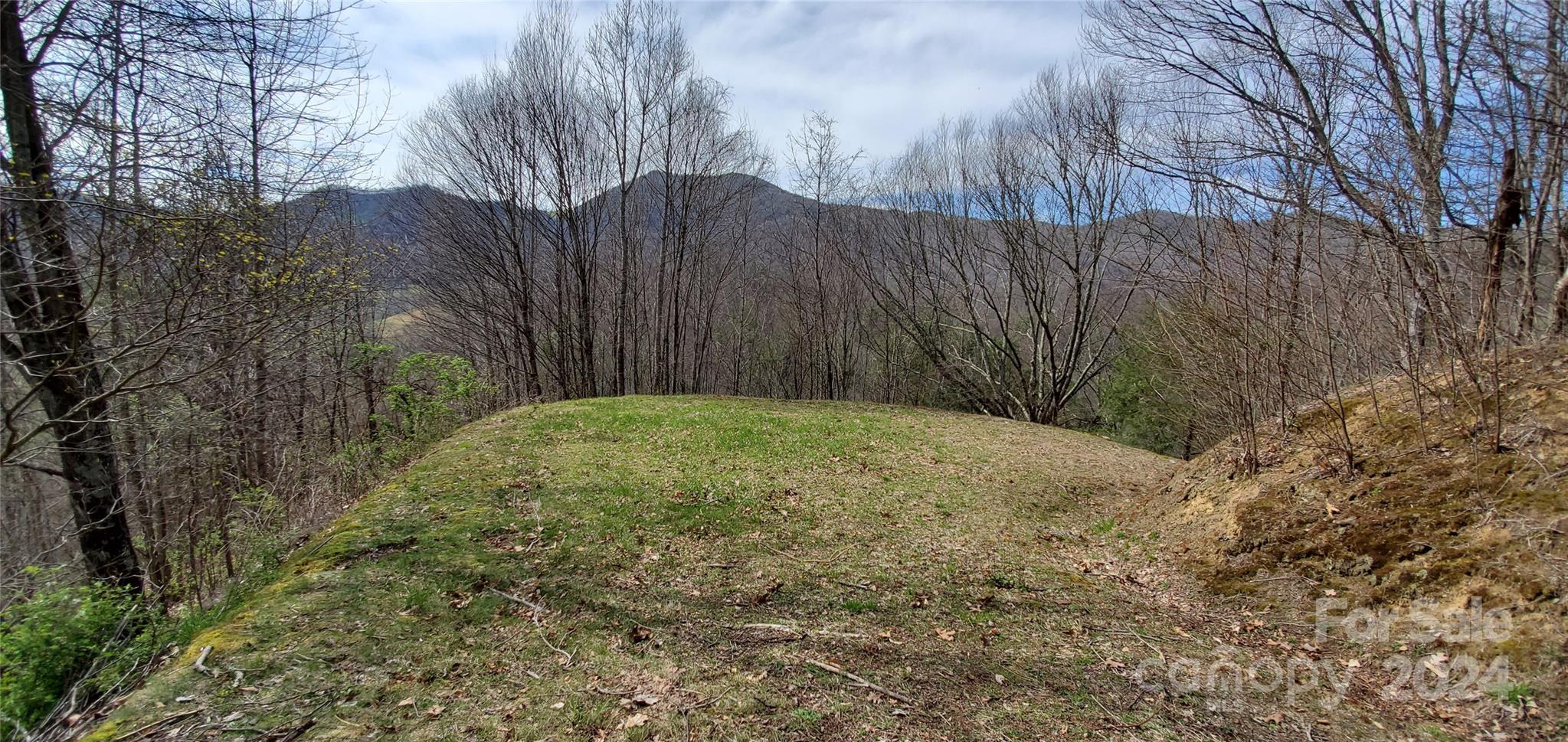 9999 Sunset Falls Drive Clyde NC 28716