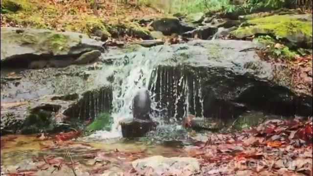 11 Chandra Lane Clyde NC 28721