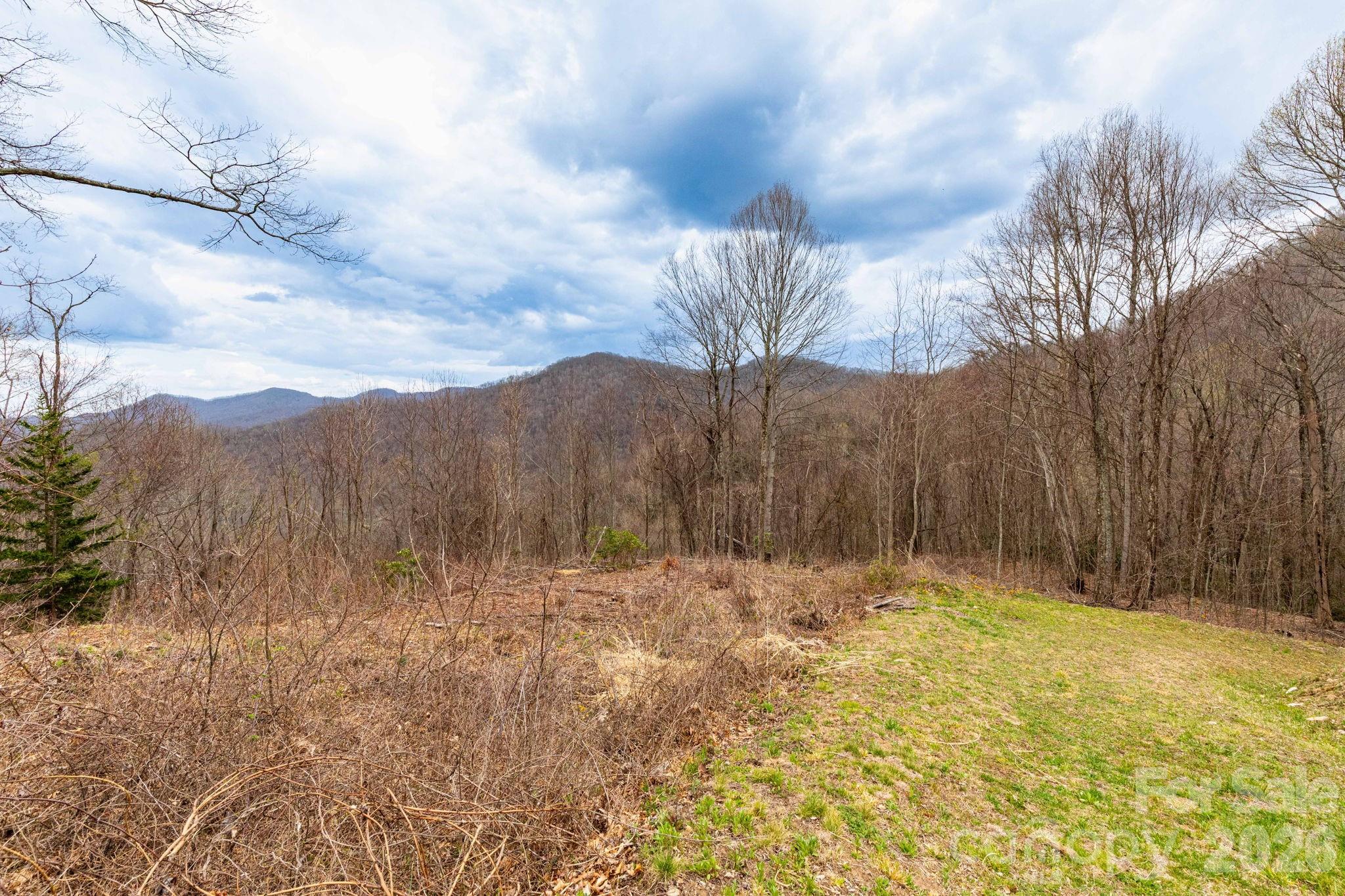 11 Chandra Lane Clyde NC 28721