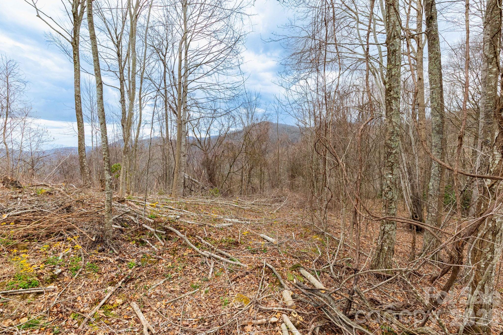 11 Chandra Lane Clyde NC 28721