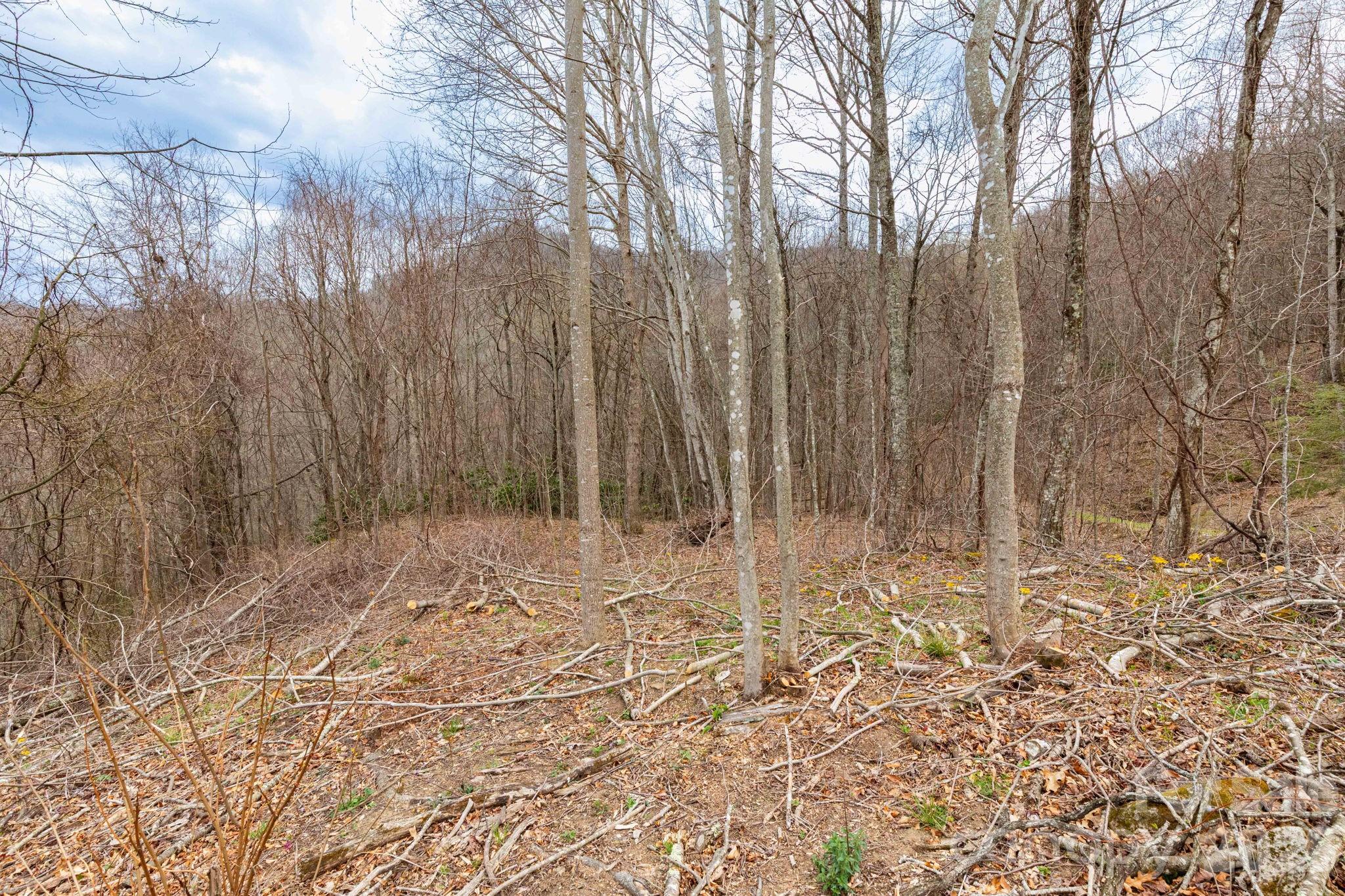 11 Chandra Lane Clyde NC 28721