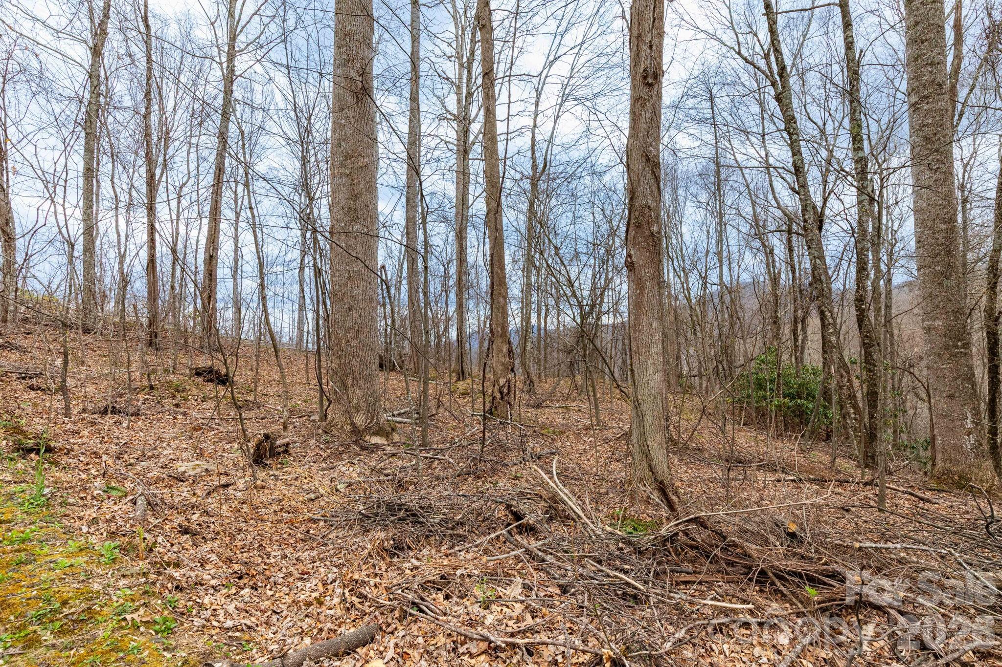 11 Chandra Lane Clyde NC 28721