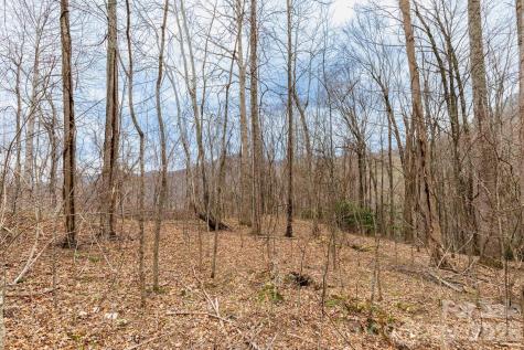 11 Chandra Lane Clyde NC 28721