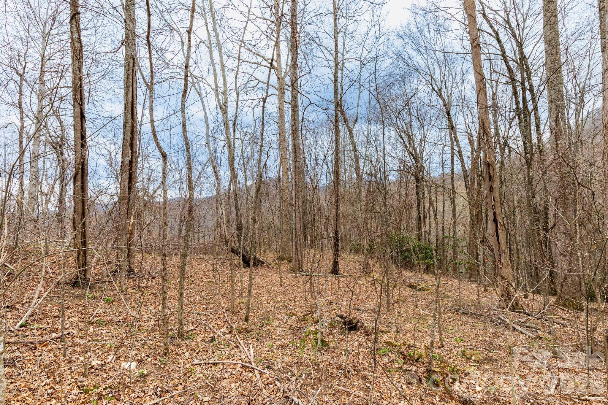 11 Chandra Lane Clyde NC 28721