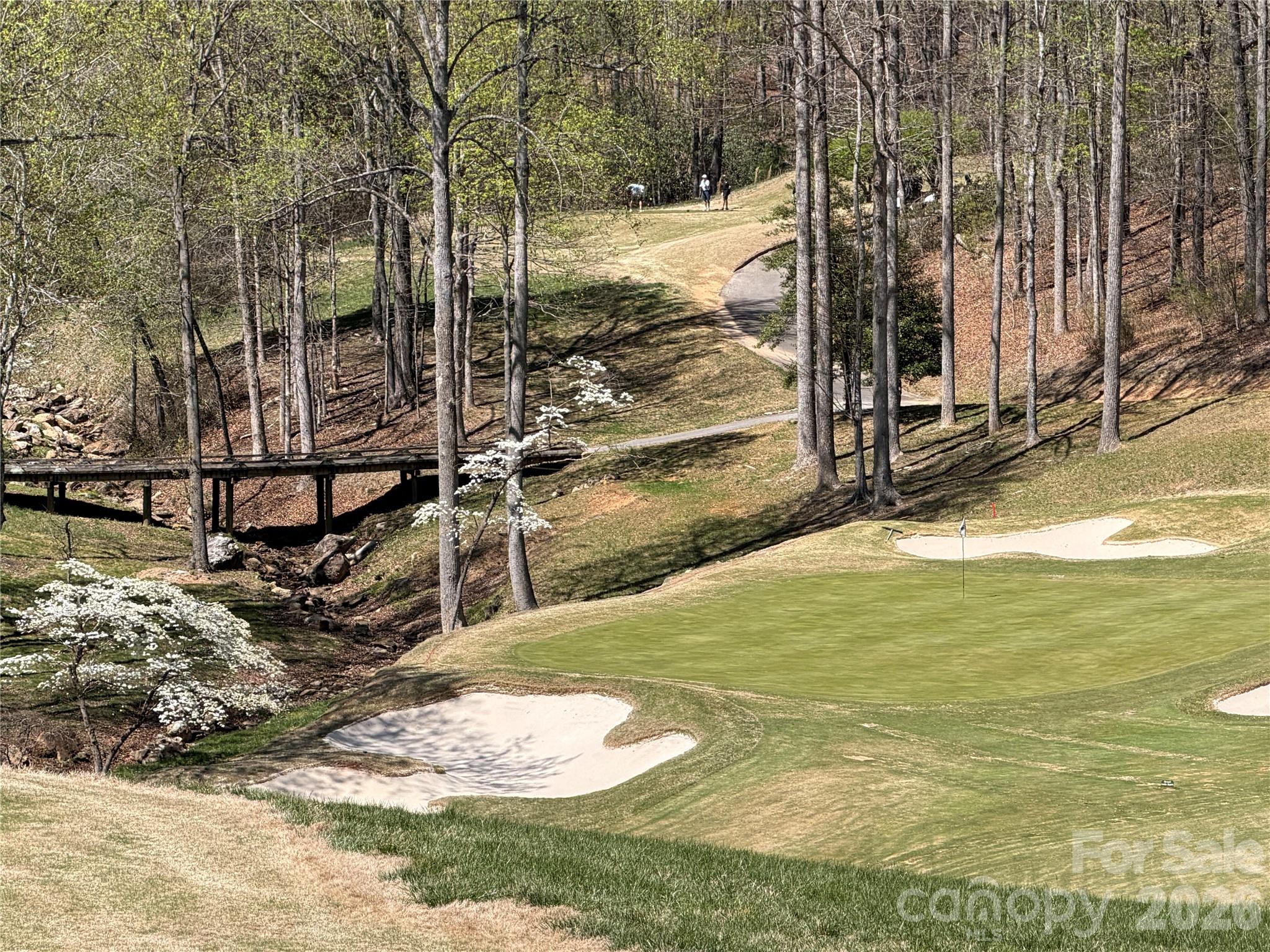 90 Chestertown Drive Mill Spring NC 28756