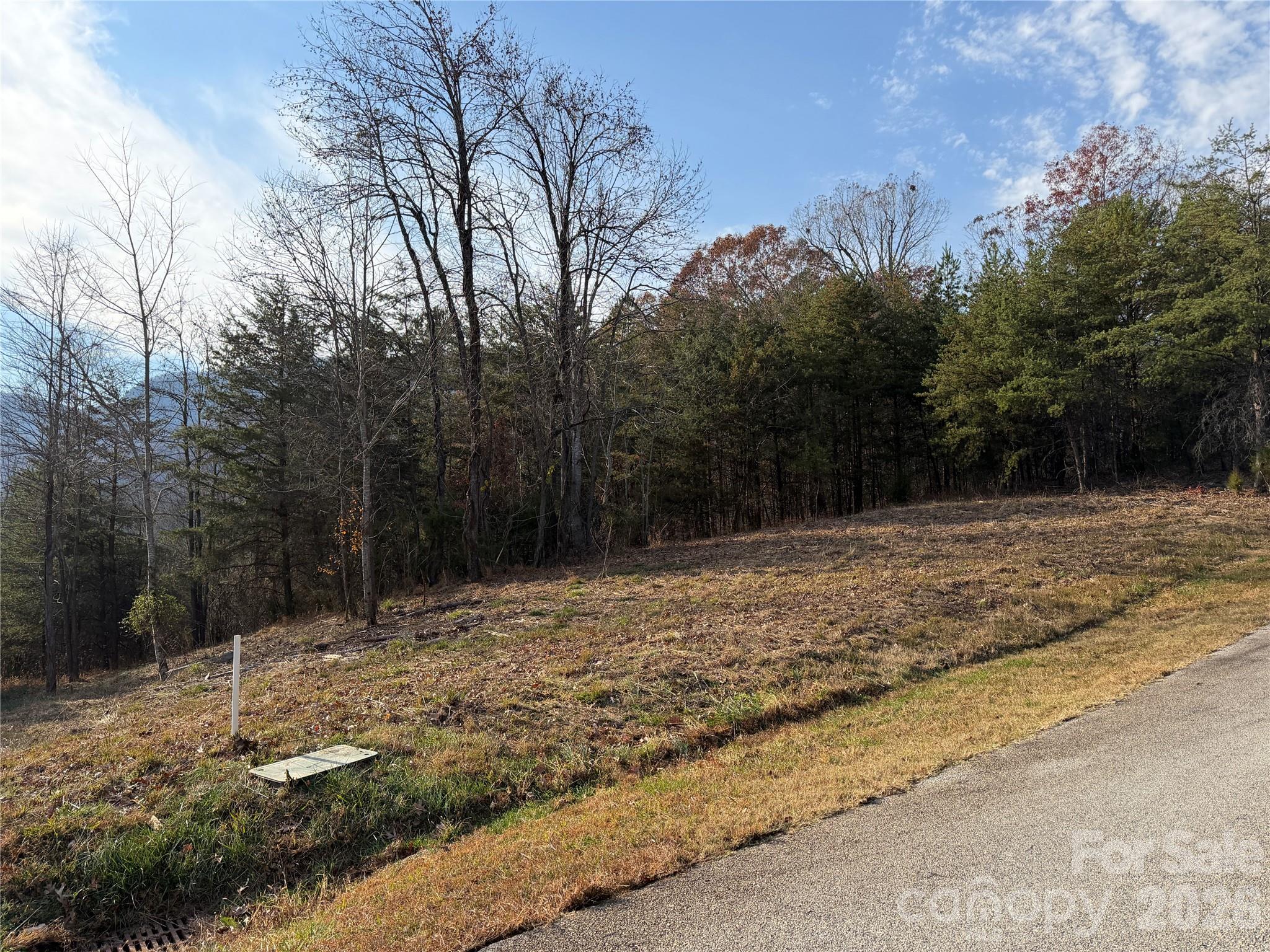 90 Chestertown Drive Mill Spring NC 28756