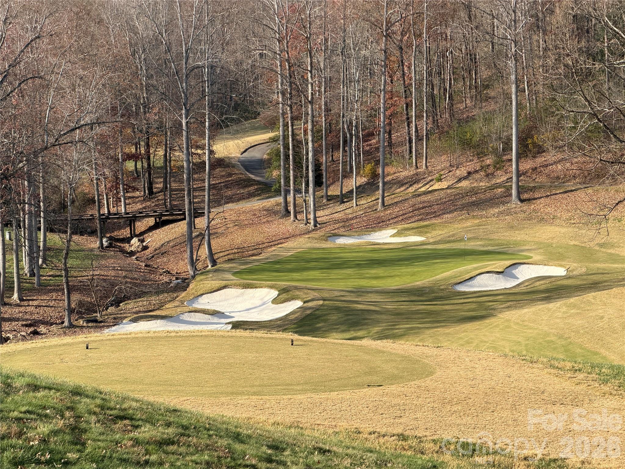90 Chestertown Drive Mill Spring NC 28756