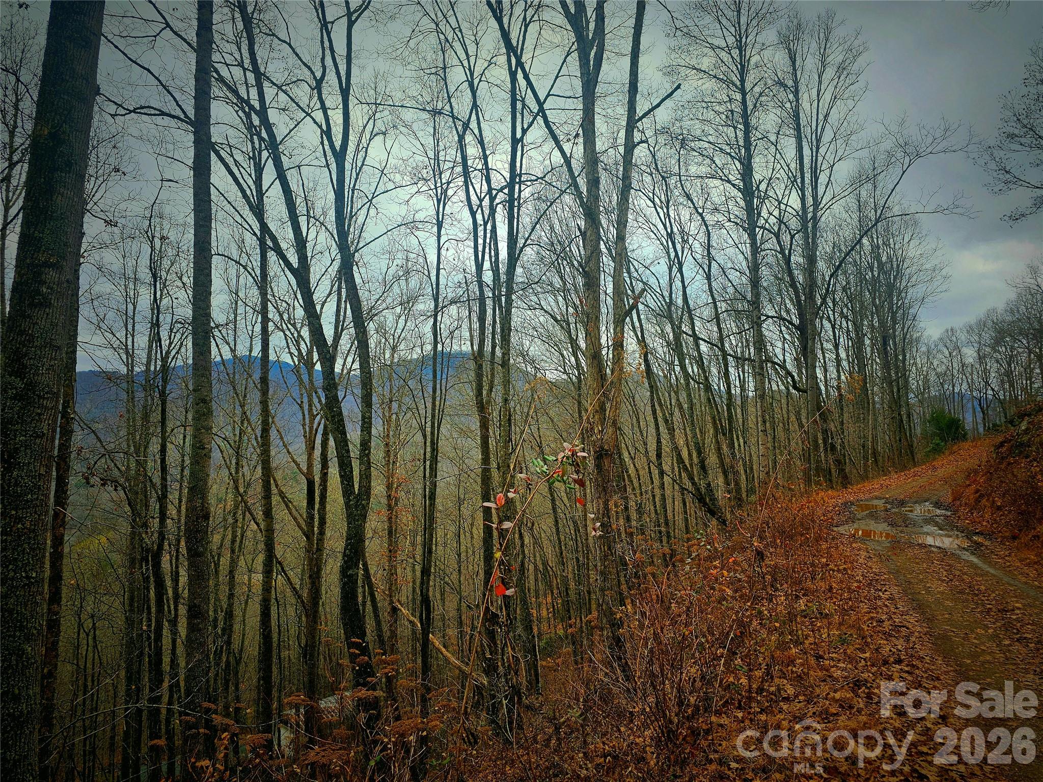 000 Quiet Cove Road Sylva NC 28779