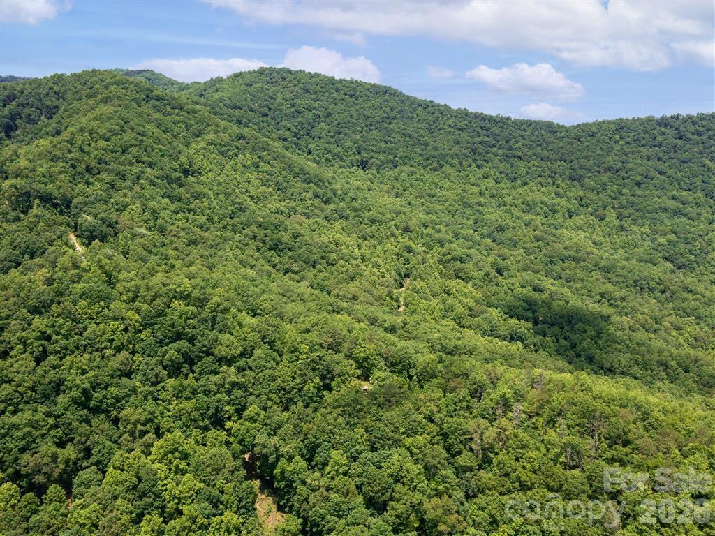 000 Quiet Cove Road Sylva NC 28779