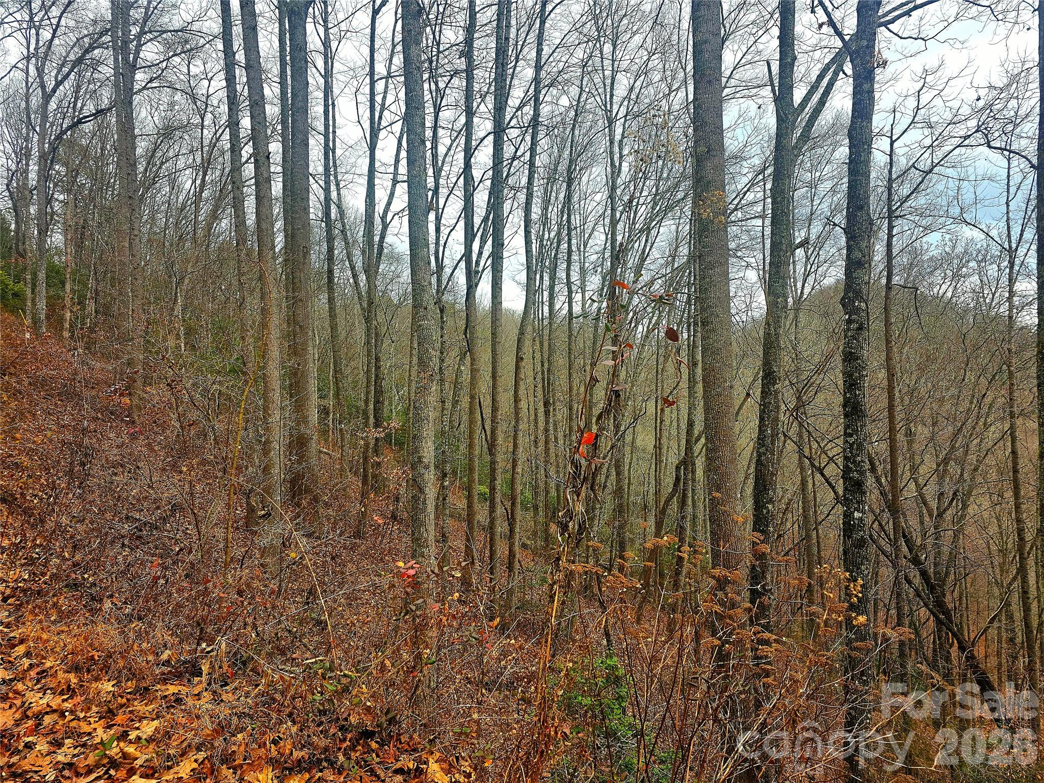 000 Quiet Cove Road Sylva NC 28779