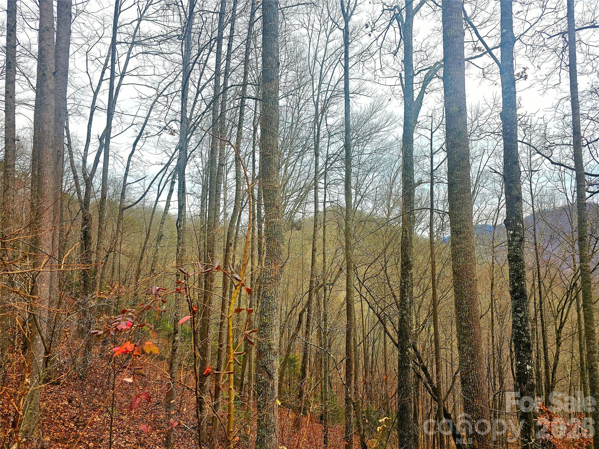 000 Quiet Cove Road Sylva NC 28779