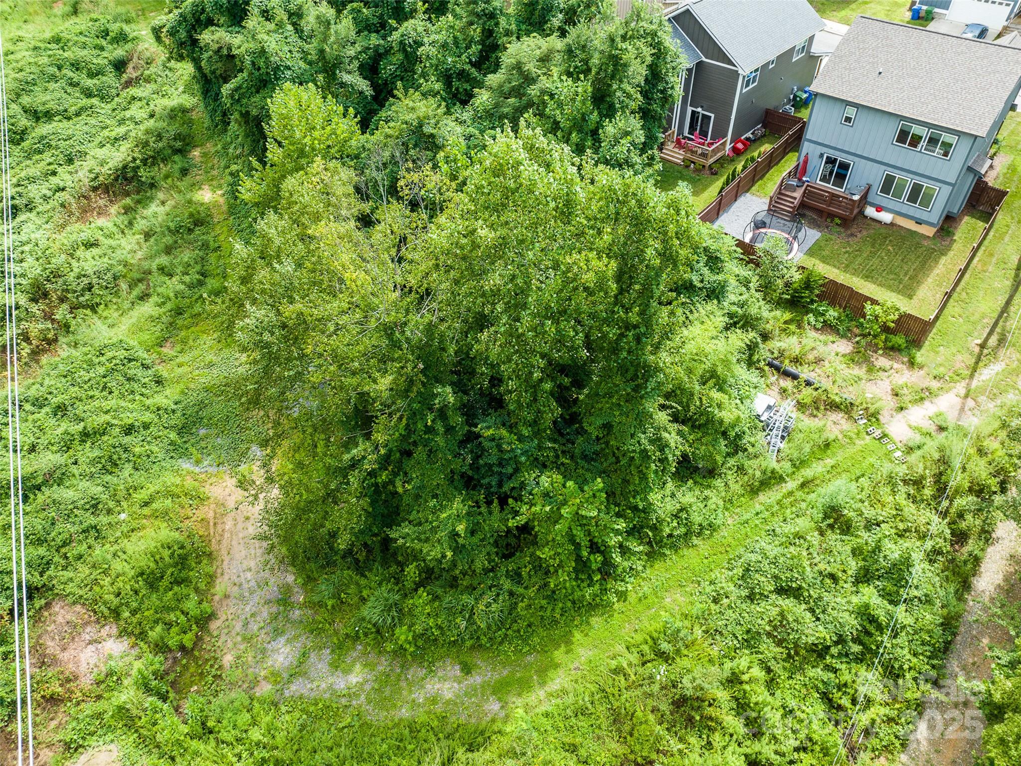 5 Shakedown Street Asheville NC 28803