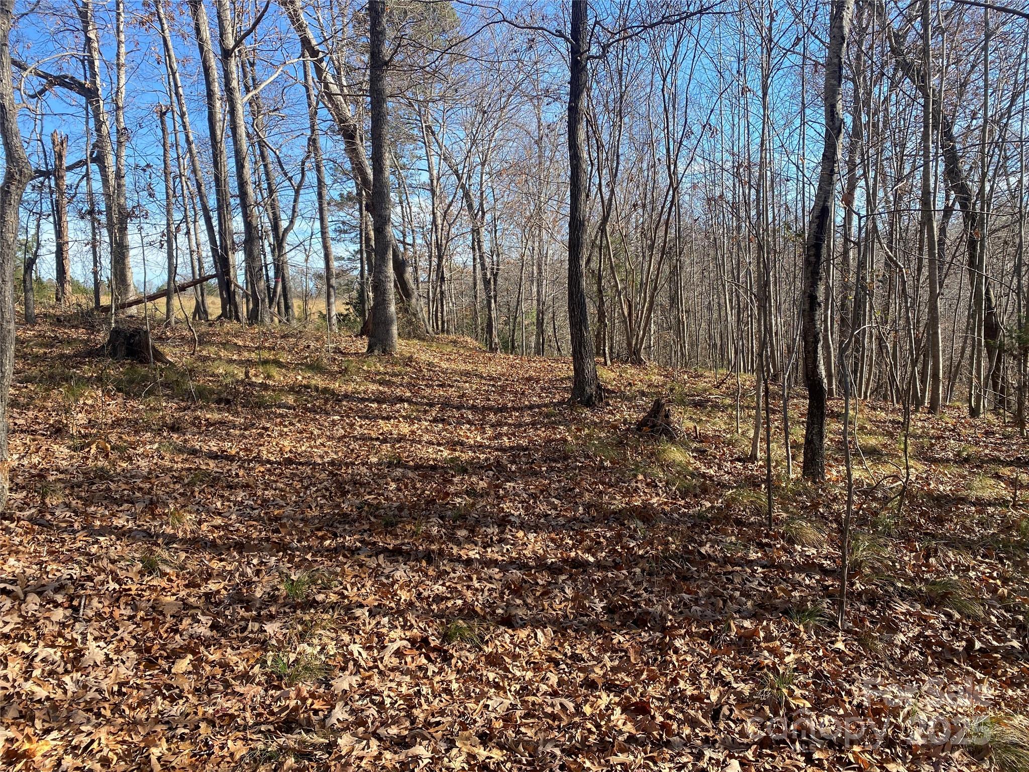0 Kiser Road Bostic NC 28018