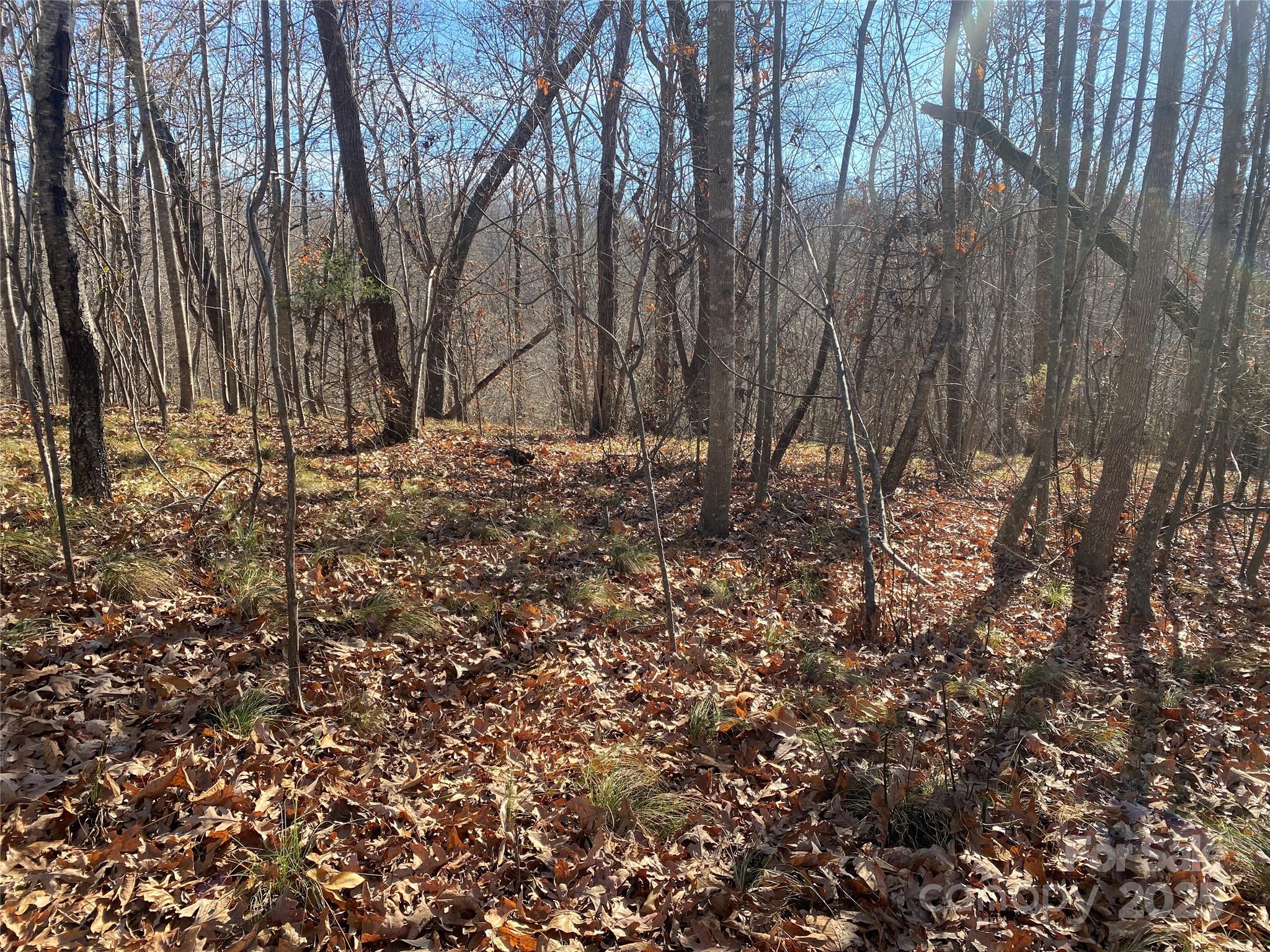 0 Kiser Road Bostic NC 28018