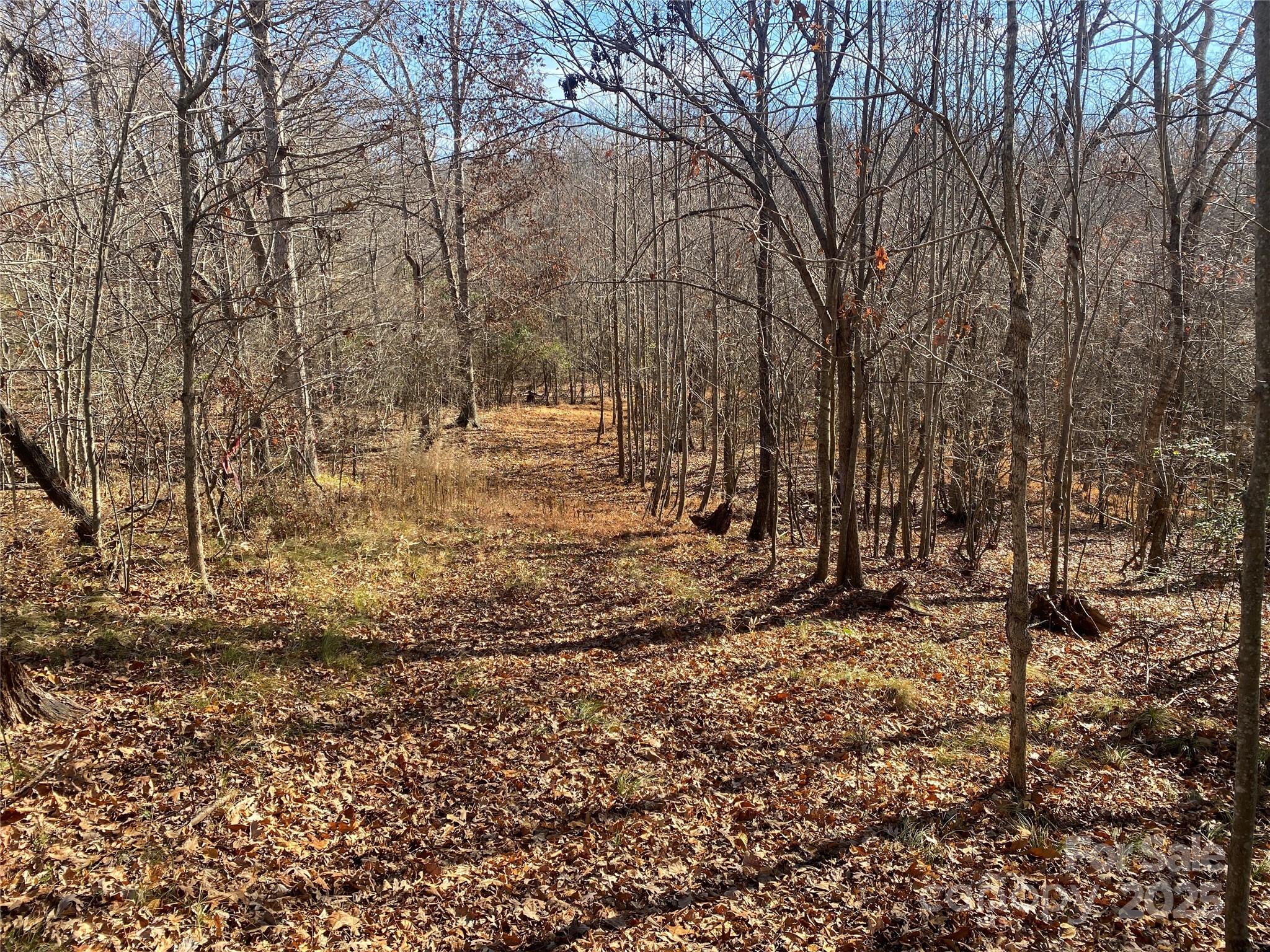 0 Kiser Road Bostic NC 28018