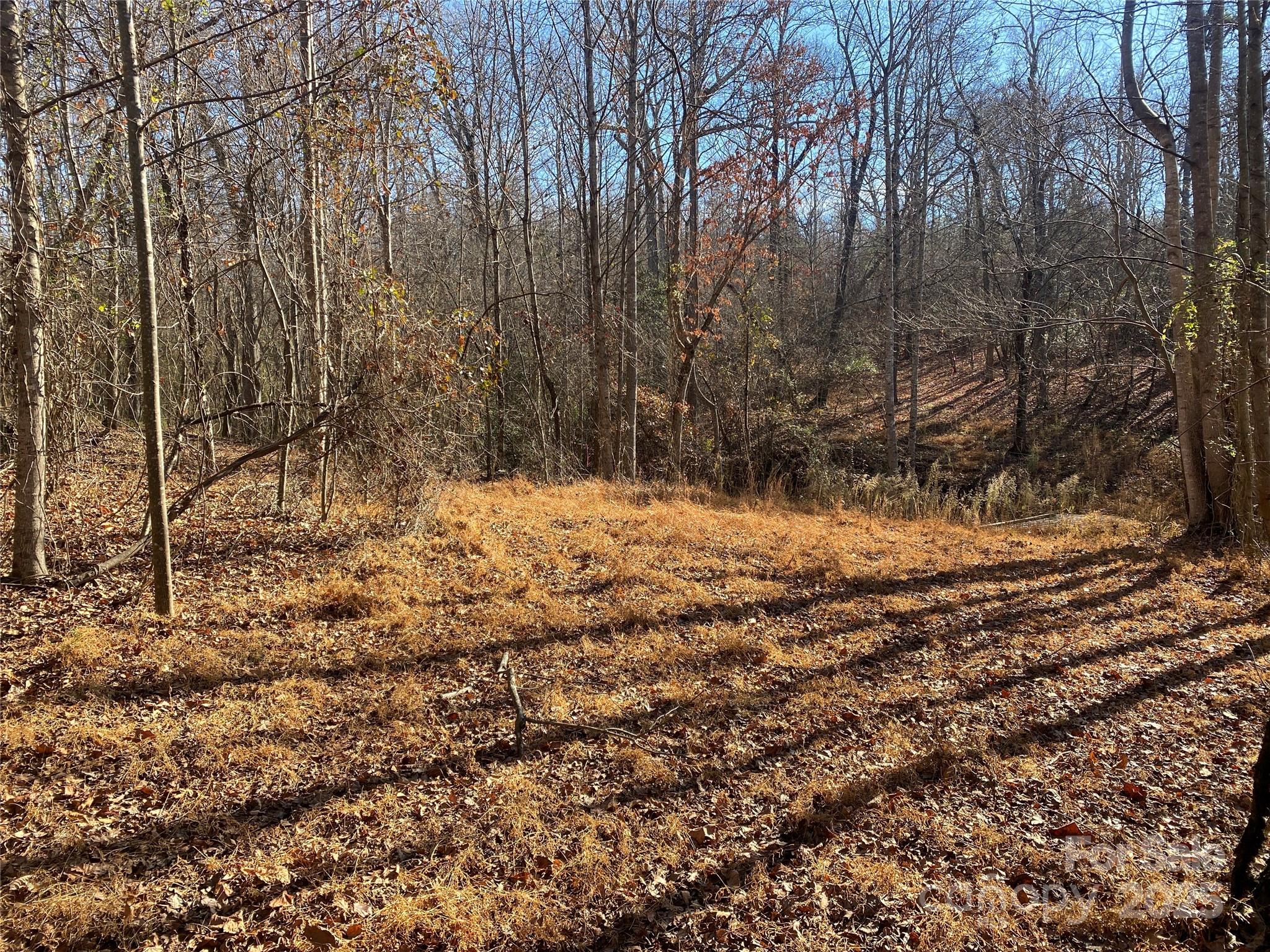 0 Kiser Road Bostic NC 28018