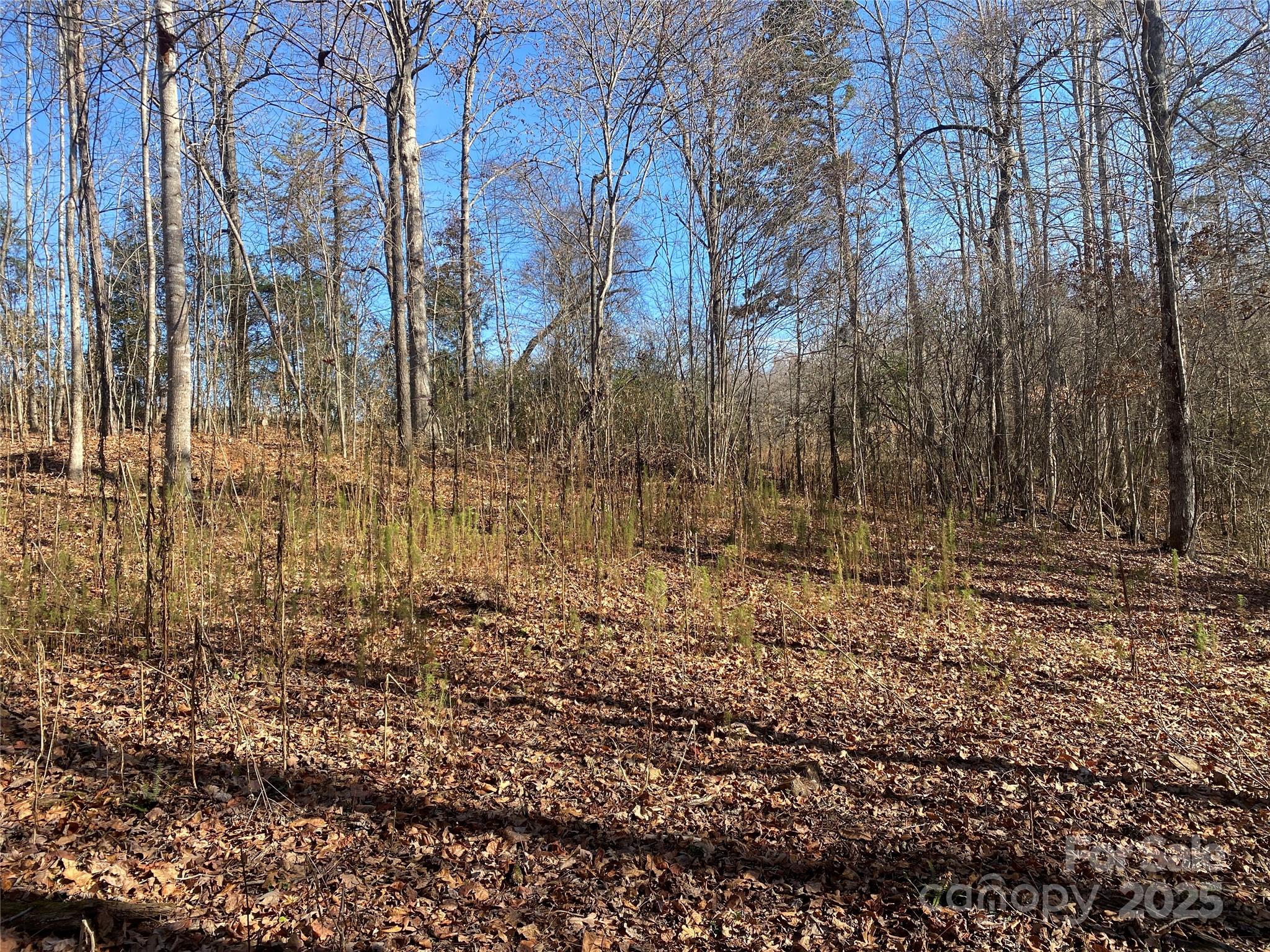 0 Kiser Road Bostic NC 28018