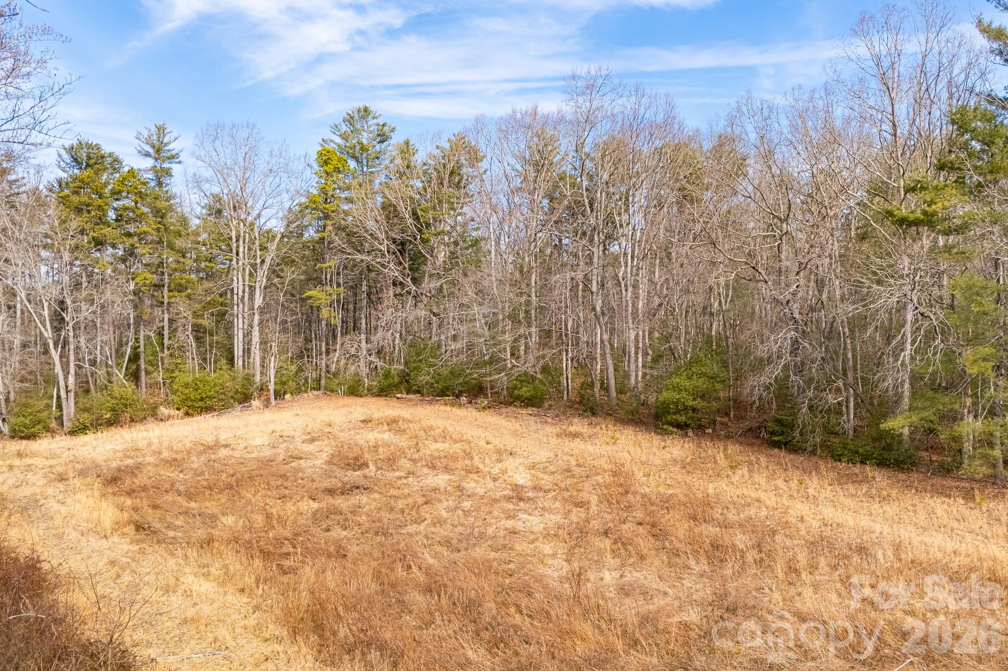00 Old Haywood Road Mills River NC 28759