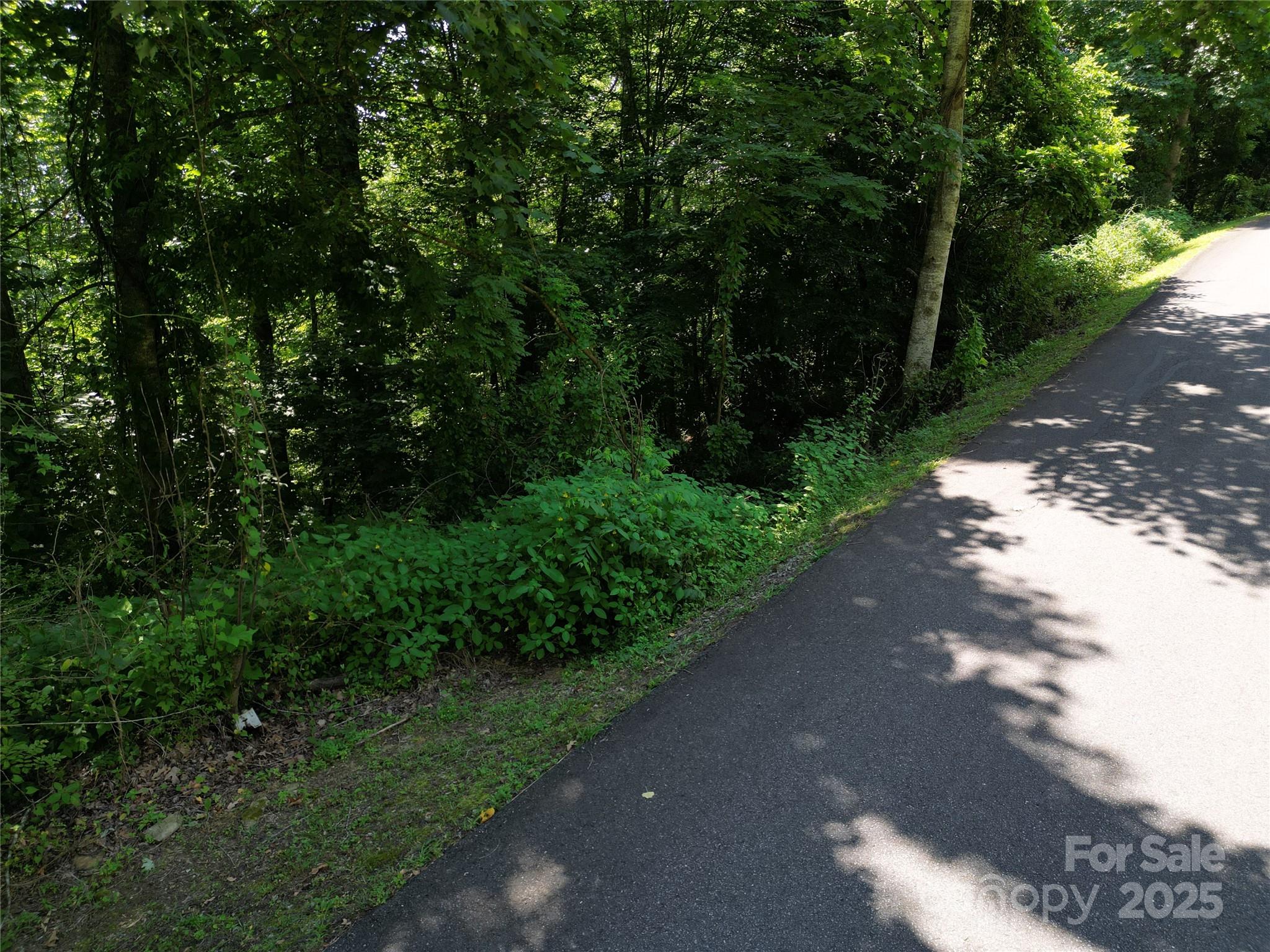 00 Point Of View Drive Waynesville NC 28785