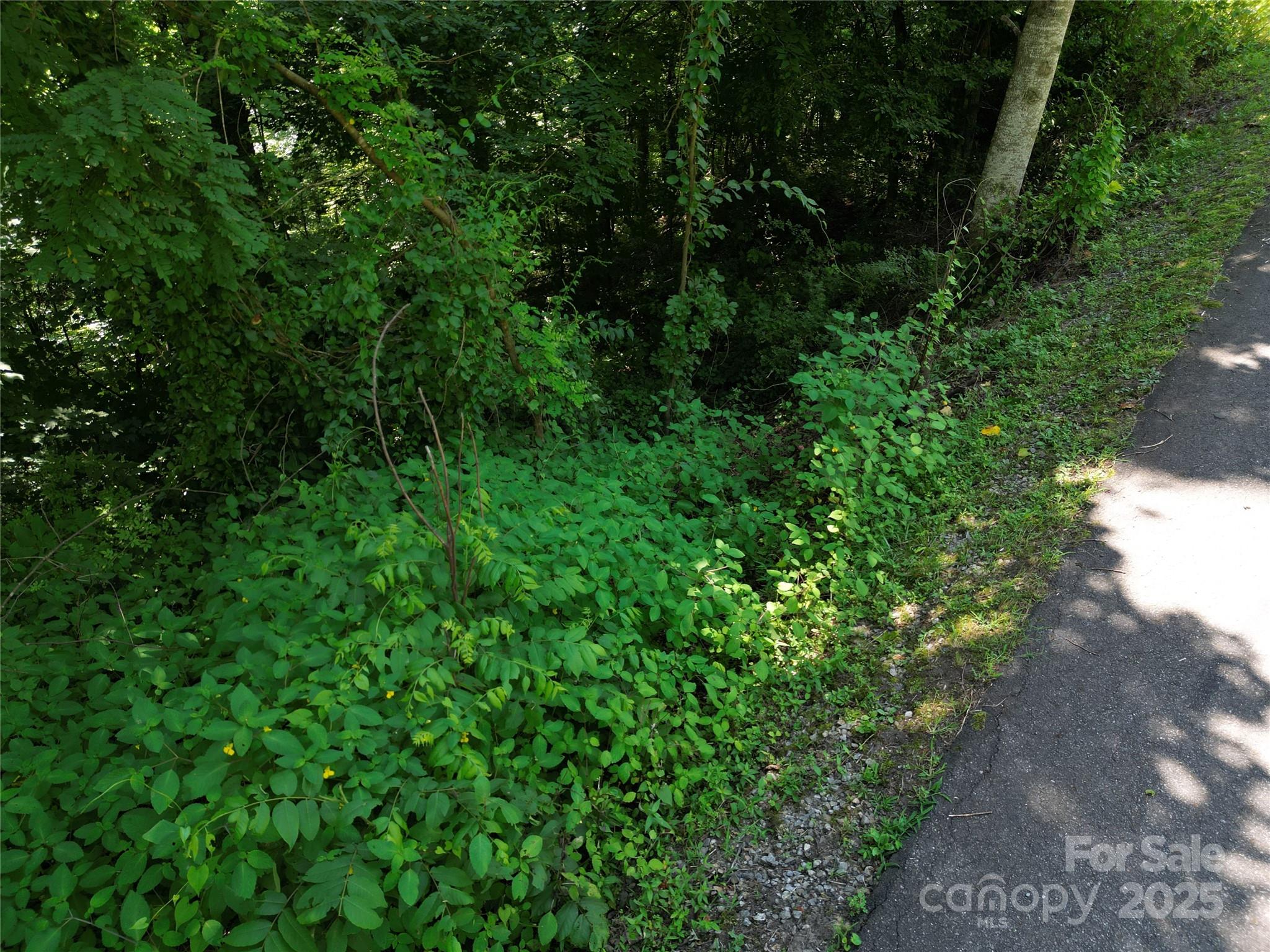 00 Point Of View Drive Waynesville NC 28785