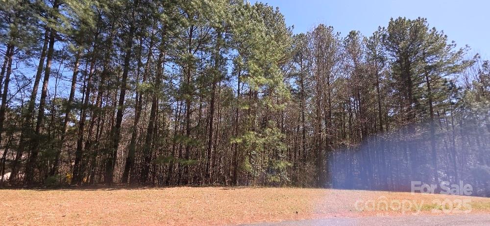208 Ridge Top Drive Connelly Springs NC 28612