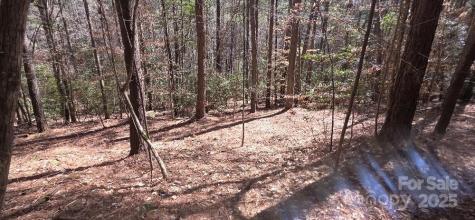 208 Ridge Top Drive Connelly Springs NC 28612