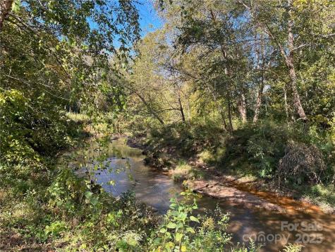 000 Rambling Creek Road Tryon NC 28782