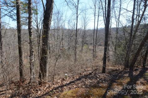 000 Rambling Creek Road Tryon NC 28782