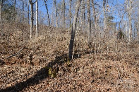 000 Rambling Creek Road Tryon NC 28782